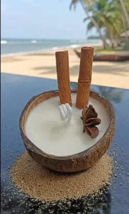 Coconut Shell Cinnamon candle