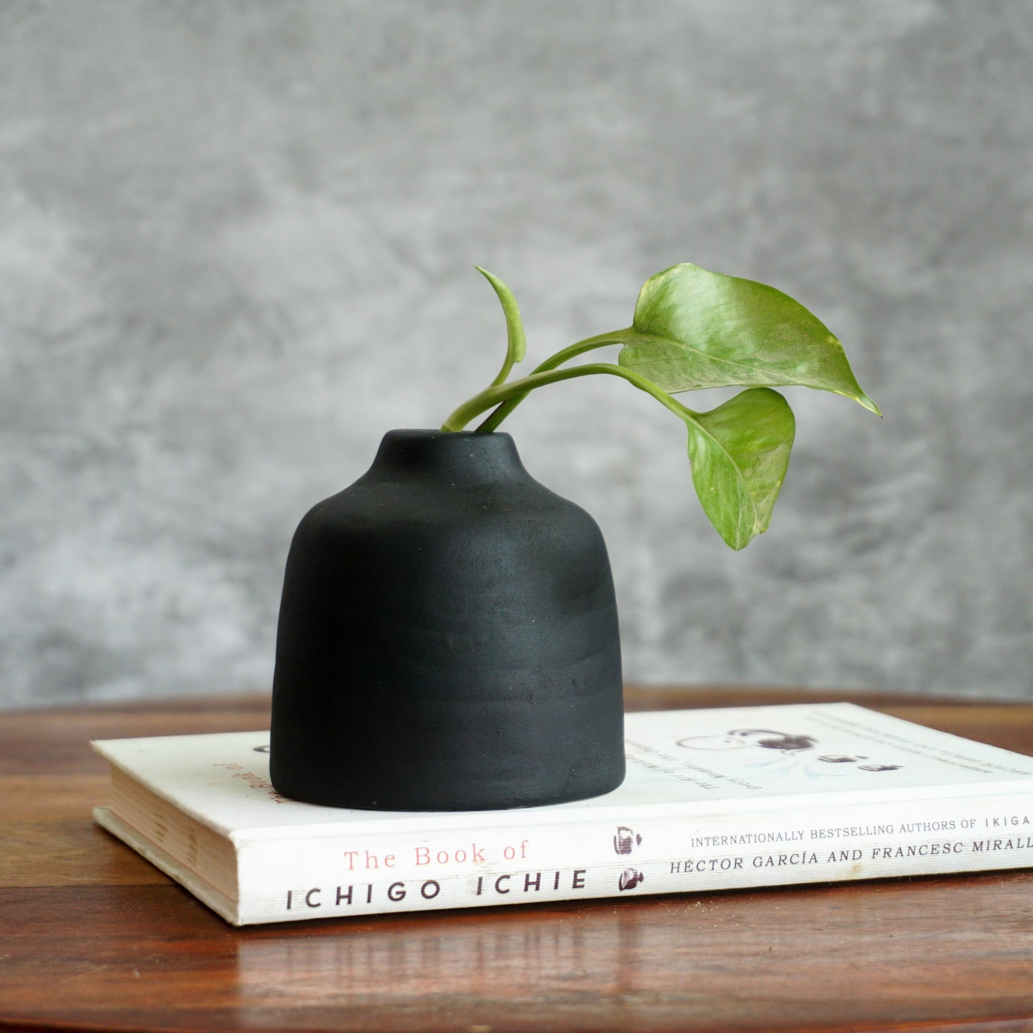 Black Bud Vase