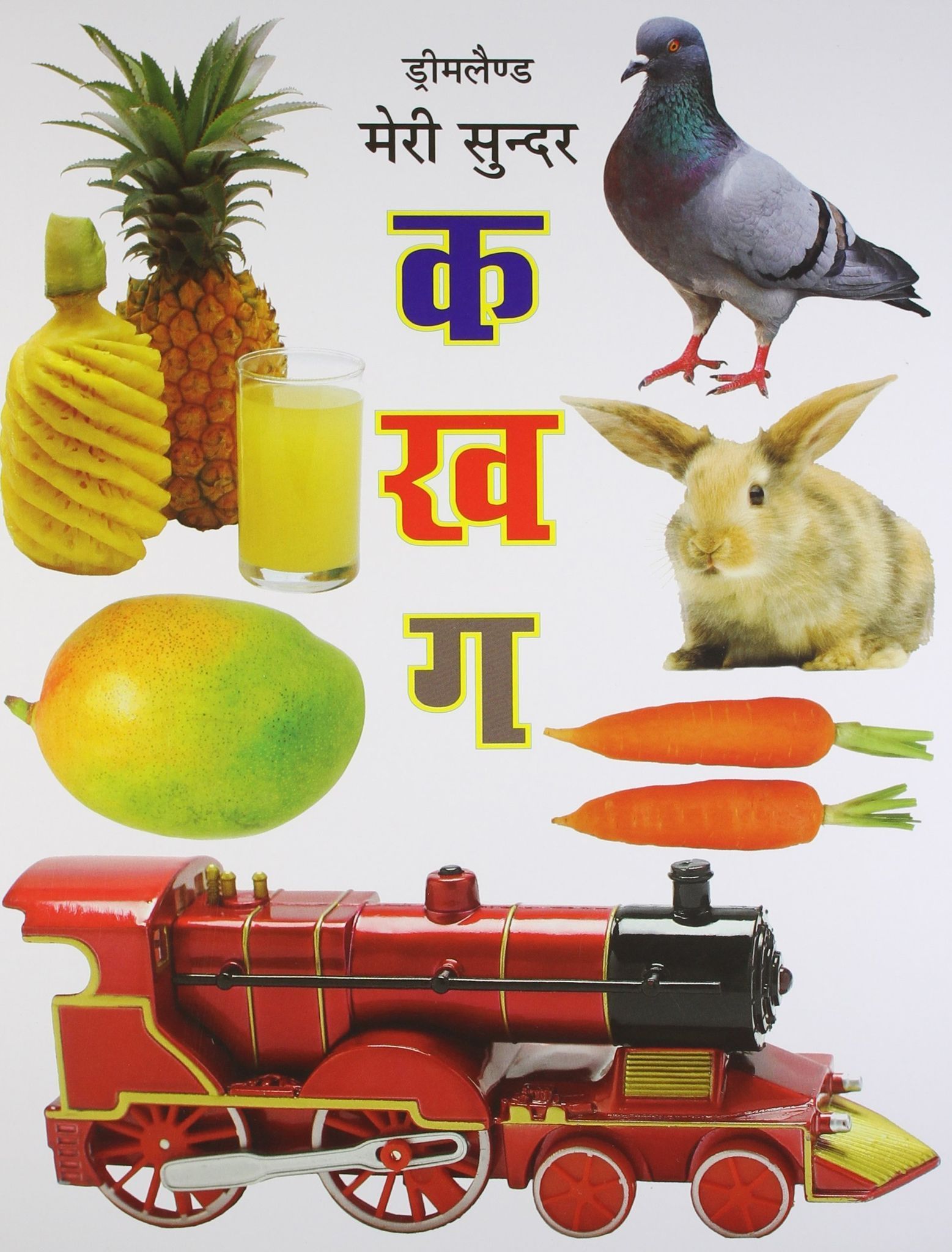 Meri Sunder Kakhaga [Paperback] Dreamland Publications