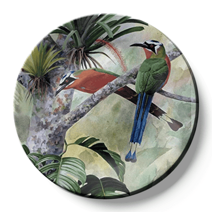 Tropical Birds Ceramic Wall Plate Home Décor Tropical Birds Ceramic Wall Plate Home Décor