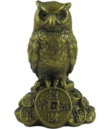 Anjali Enterprises Resin Owl