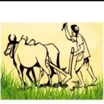 ARACHAYAROSALIND FARMER PRODUCER COMPANY LIMITED