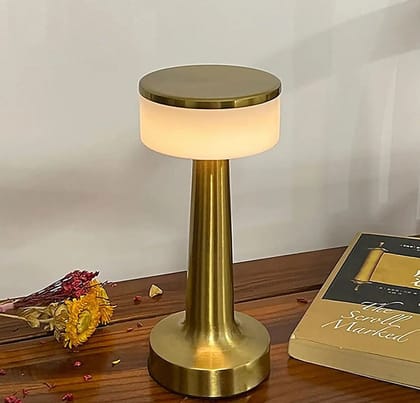 Touch LED Lamp  USB, 3 Colors, 3 Brightness Levels (1 Pc, Metal)