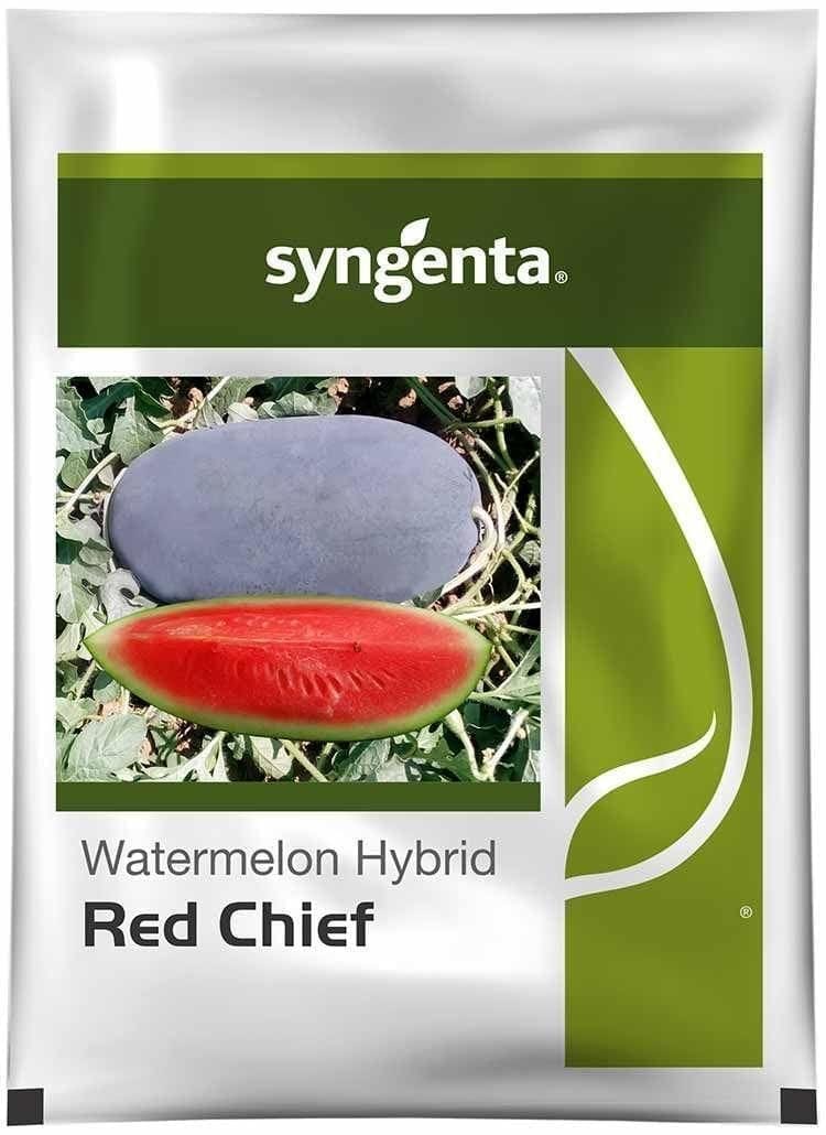 RED CHIEF