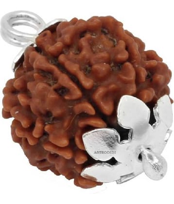 Astrodidi 4 Mukhi Rudraksha With Silver Pendant With Lab Certificate