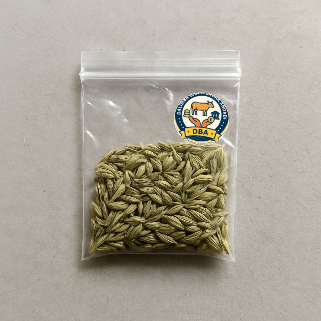 Dalimba Bharasagar Angadi's saunf (fennel seeds)