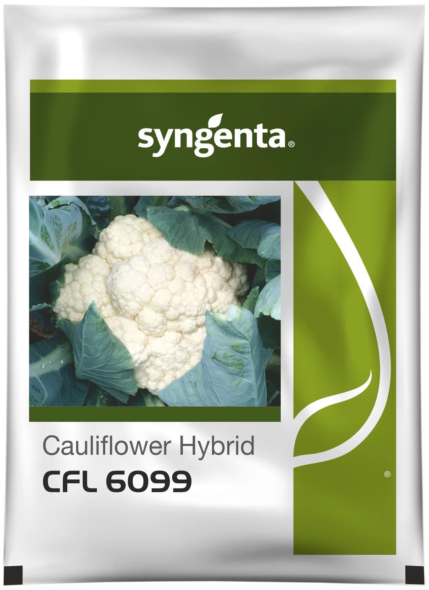 CFL-6099