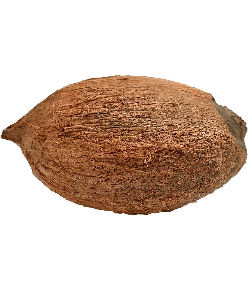 OMLITE Ekakshi Nariyal 1 ( Pack of 1 )