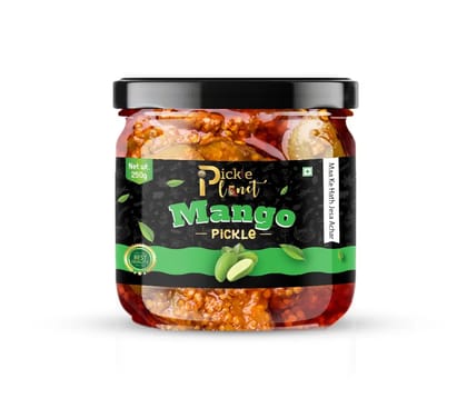 Pickle Planet Mango Pickle | Homemade Pickle | Authentic, Tangy & Delicious Pickle | No Artificial Color and Flavors | Gluten Free | Aam ka achar (250g) Pickle Planet Mango Pickle | Homemade Pickle | Authentic, Tangy & Delicious Pickle | No Artificial Color and Flavors | Gluten Free | Aam ka achar (250g)
