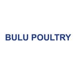 BULU POULTRY