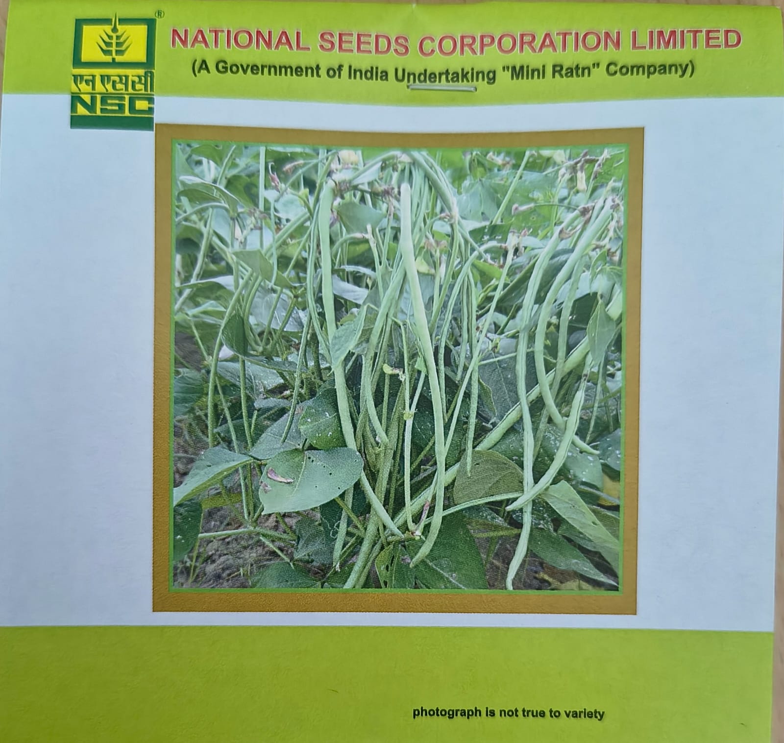 NSC Cowpea Kashi Nidhi, 20 gm
