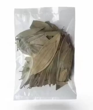 kaasni's  Tej Patta Leaves |150 Grams | Bay Leaves | Whole Spices | Tez Patta Aromatic & Flavourful Biryani | Tejpatta Bay Leaves