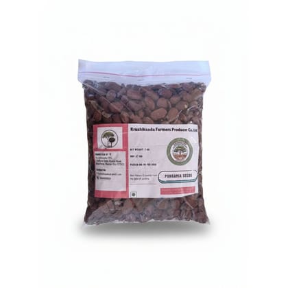 PONGAMIA SEED - 1 kg - One packet of seeds