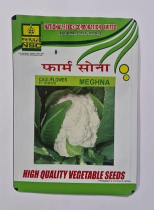 NSC Cauliflower F1 Hybrid - Meghna