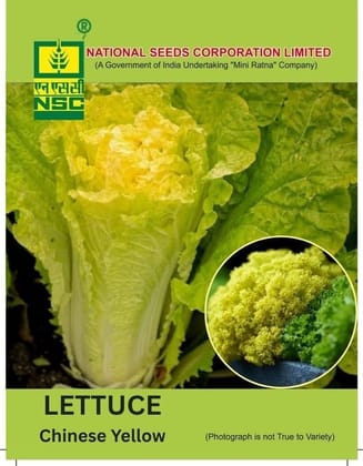 NSC Lettuce Chinese Yellow Seed