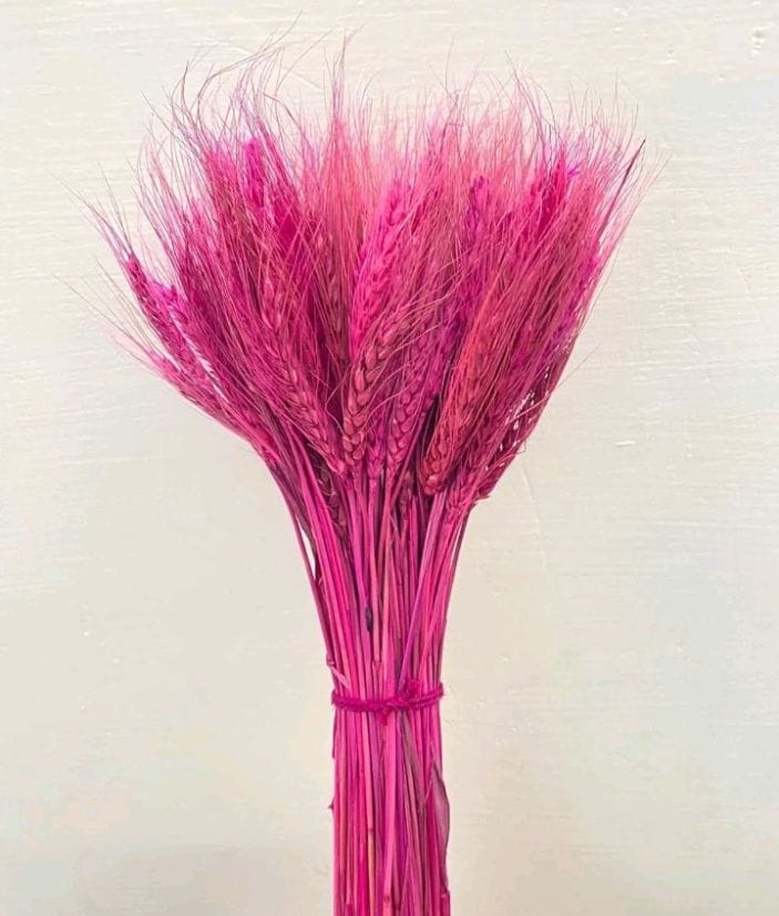 Nataral Dy Flowers 100 Sitck Artificial Dry Flowers