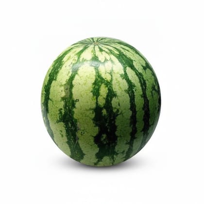 Fresh Watermelon - 40 kg - One whole watermelon