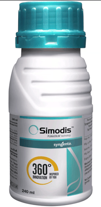 Simodis