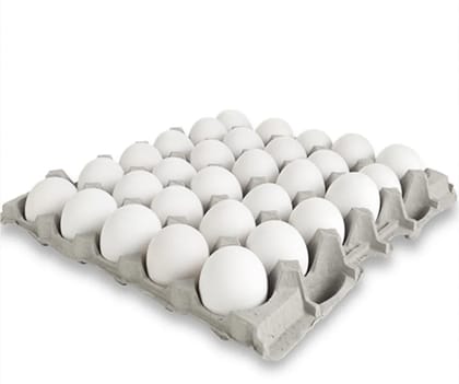 30 eggs Tray