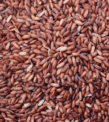 Poongar rice