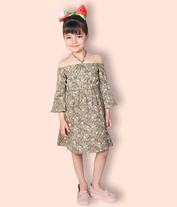 Addyvero Cotton A-line Dress For Girls ( Pack of 1 , Green )