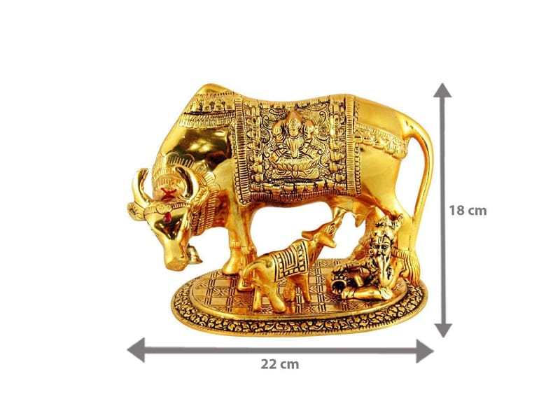 ... ...