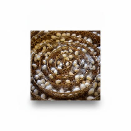 Silkworm Rearing Cocoon Tray - 1 kg - One wooden sericulture tray