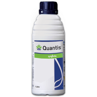 QUANTIS