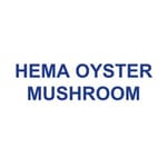 HEMA OYSTER MUSHROOM