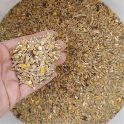 Balanced Livestock Feed Grain Blend - 1 kg - One bag