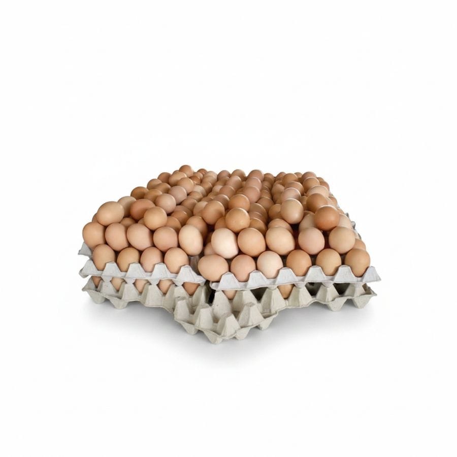 Farm Fresh Eggs - 100 gm - One tray of eggs