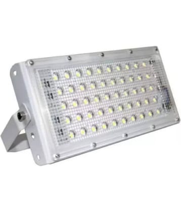 Bentag Cool Day Light 50 Watts Flood Light ( Pack of 1 )
