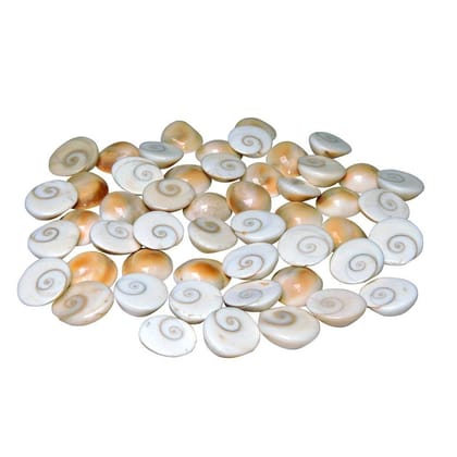 MAYAPURI Navi Sankh/Original Gomati/Gomti Chakra - Sudarshan Chakra/Nag Chakra