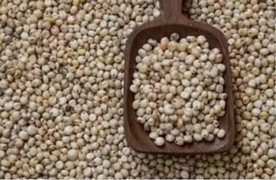 Jowar seeds