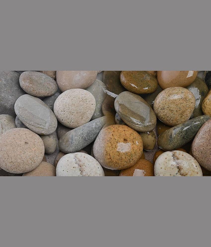 Green plant indoor Natural Stones