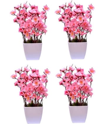 Green plant indoor Orchids Pink Flowers With Pot - Pack of 4