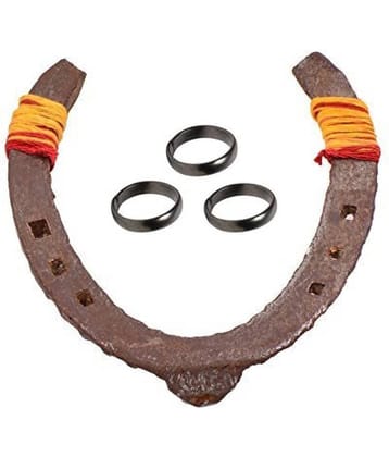 Horseshoe and Horseshoe Ring (Pack of 4)