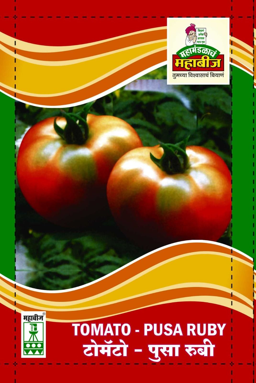 Mahabeej Tomato / Tomato PKM-1 genetically pure seed 50 gm