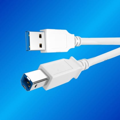 Champion USB Printer Cable, USB A Male to B Male For Canon, Dell, Epson, HP Printers and Scanners Champion USB Printer Cable, USB A Male to B Male For Canon, Dell, Epson, HP Printers and Scanners