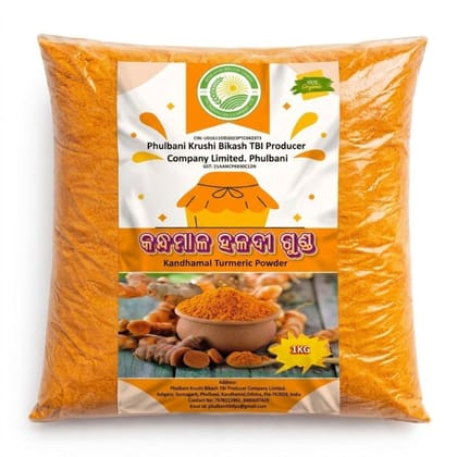 TURMERIC POWDER  - 500 gm - One packet of Turmeric Powder