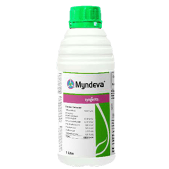MYNDEVA