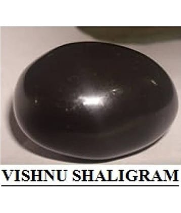 Shaligram - Marble (Pack of 1)