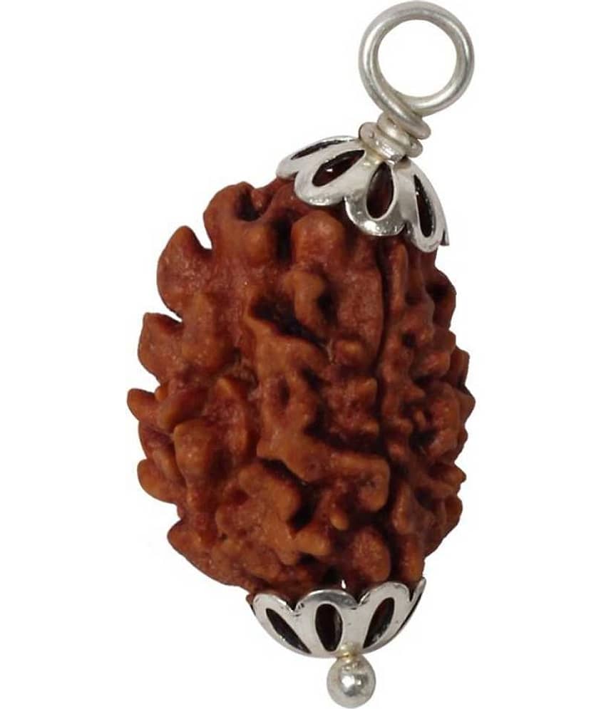 Astrodidi 3 Mukhi Rudraksha Pendant With Lab Report Certificate
