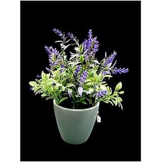 De Gardenia Mini Artificial Plants Multicolours Lifelike Fake PlantsHome and Office Decor Mini Artificial Plants Set for Home and Office Decor Lifelike Fake Plants (Blue 1)