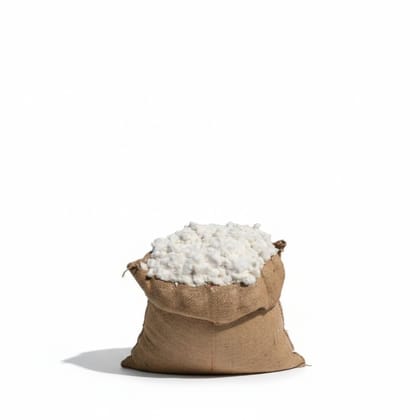 Raw Cotton Fiber in Jute Sack - 20 kg - One 20kg jute bag of raw cotton