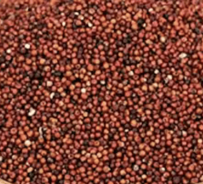 Ragi (Finger Millet / Kelvaragu) rice