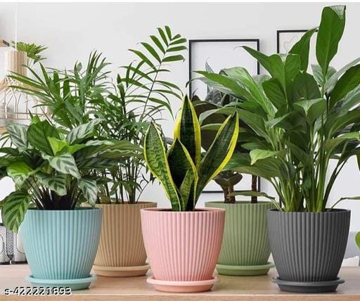 Trendy Planter