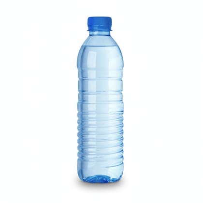 Packaged Drinking Water - 300 gm - One plastic bottle