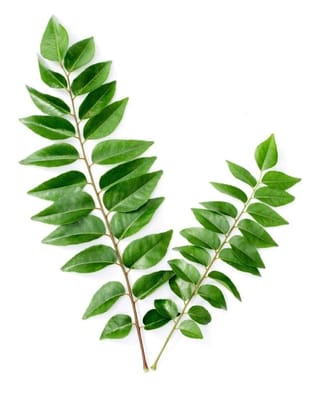 Curry Leaves - (Kadi Patta) 50gm