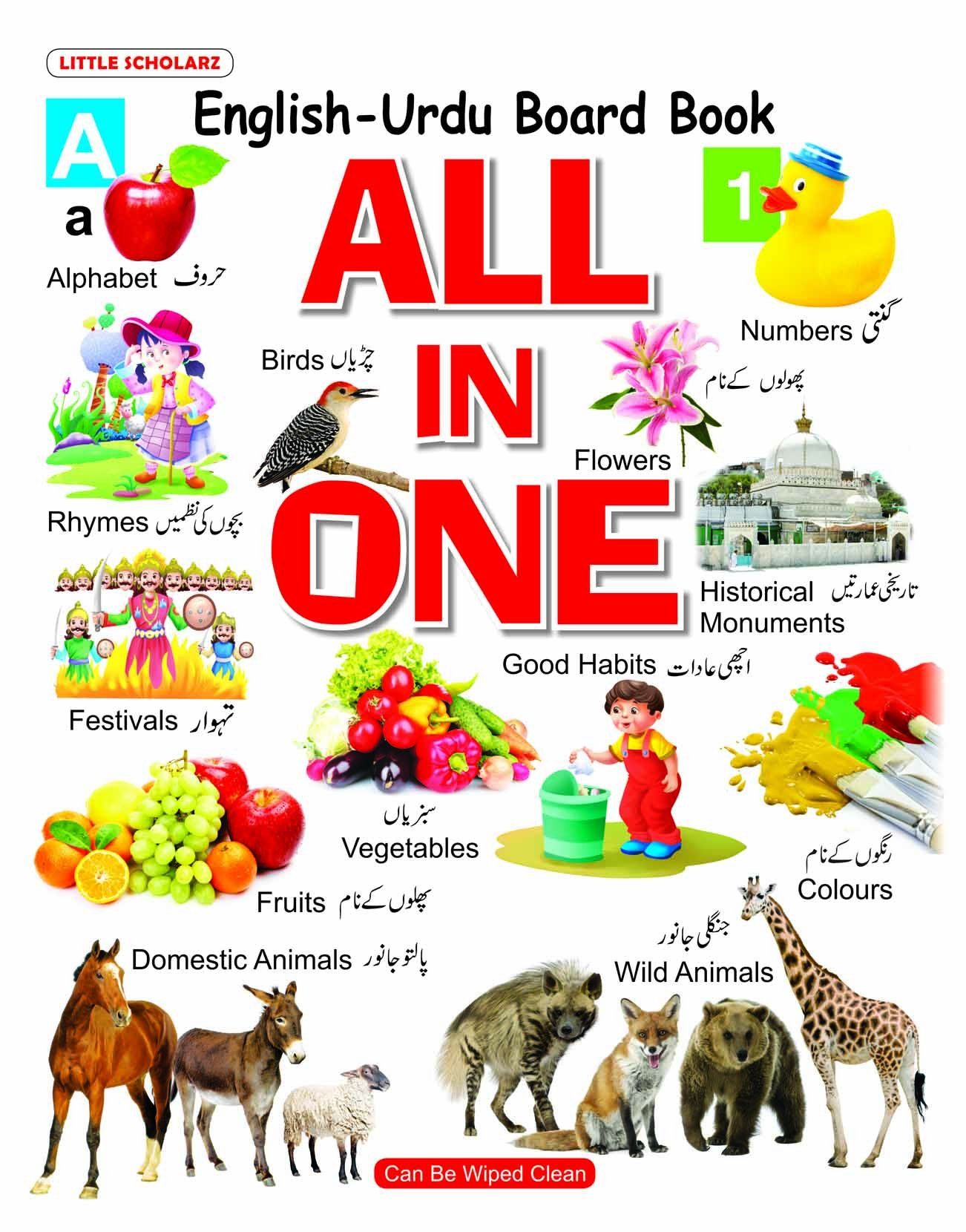 ALL IN ONE: English-Urdu Board Book (Primary English Urdu Book) [Paperback] [Mar 18, 2023]